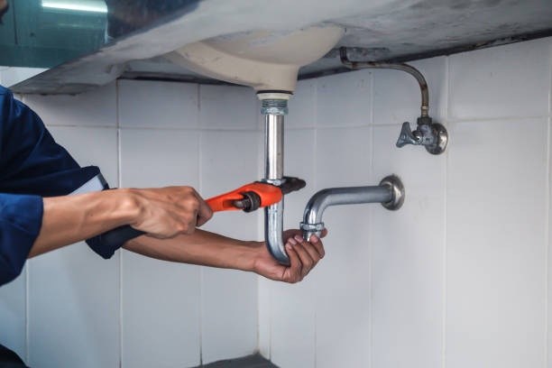 Best Drain Cleaning Services  in Greenville, MI