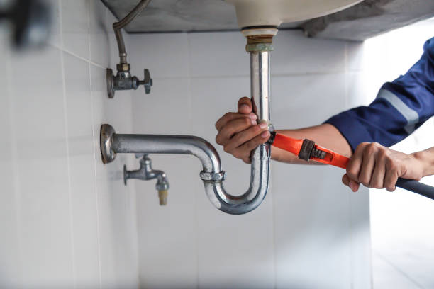 Best Shower Repair Services  in Greenville, MI