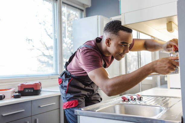 Best Residential Plumbing Services  in Greenville, MI