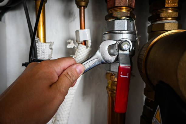 Best Local Plumber Services  in Greenville, MI